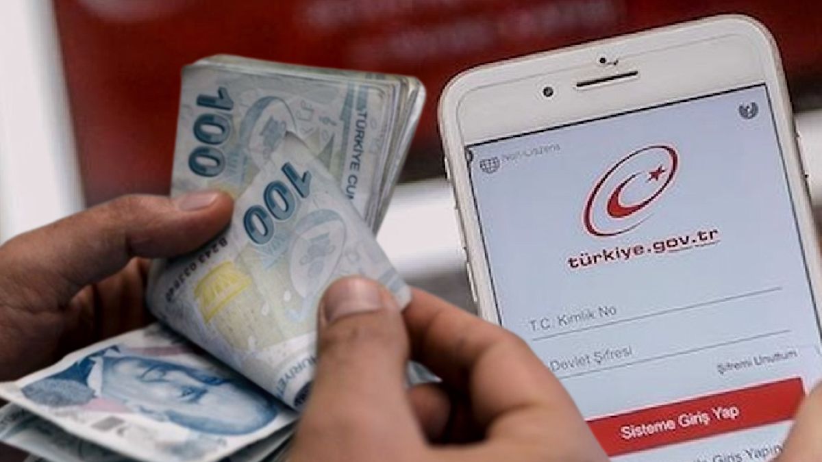 Unutulan Hesaplarınızı Kontrol Edin: E-Devlet'ten Yeni Hizmetle Para Bulabilirsiniz