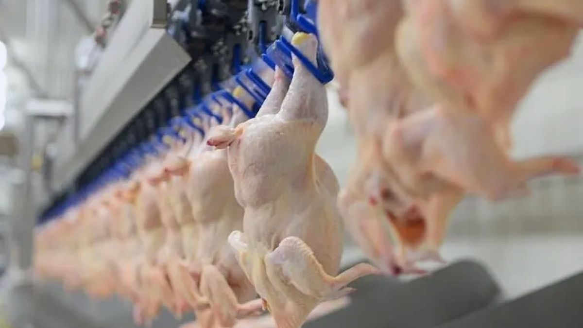 Brezilya'dan Avrupa Birliği'ne Et ve Bal İhracatı Kapısı Aralanıyor