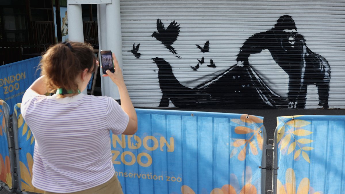 Banksy Eserleri İngiltere'de Maliyet Yaratıyor: Sanat mı, Yük mü?