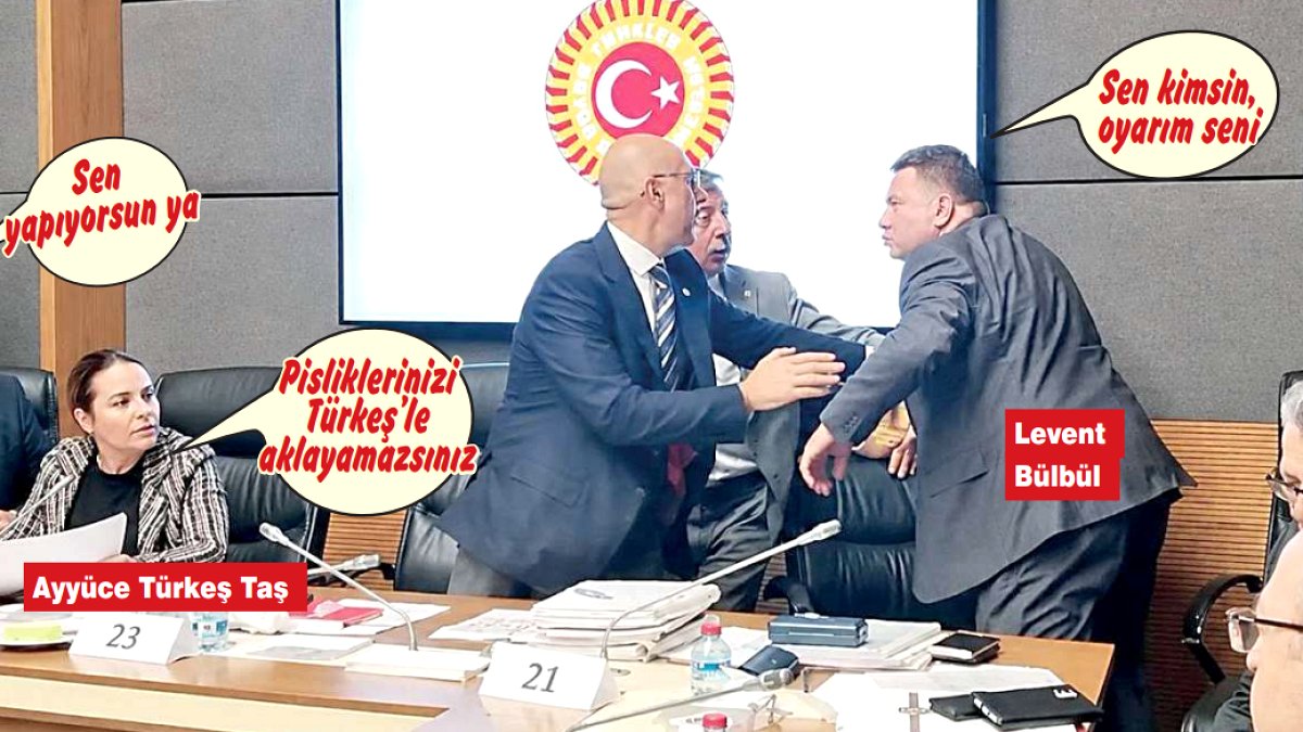 Meclis'te Gergin Anlar: Türkeş'in Kızı ve MHP'li Vekil Arasında Yumruklu Tartışma