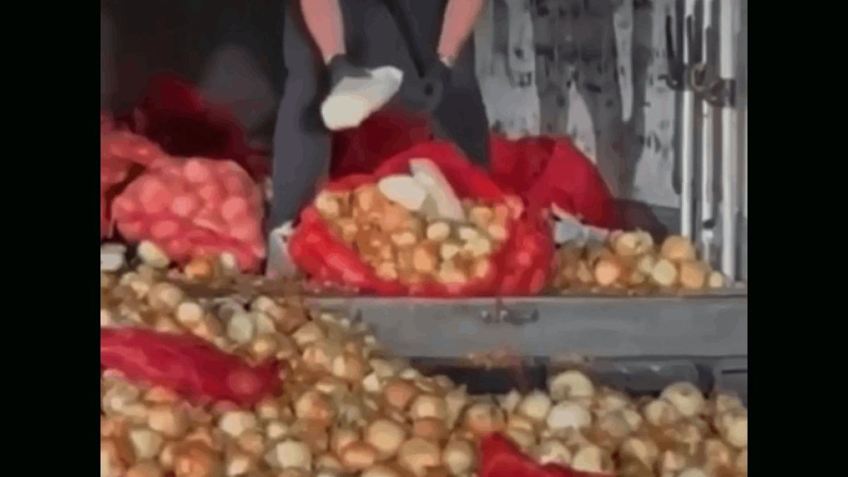 Soğan Çuvallarından Uyuşturucu Çıktı: 150 Kilo Metamfetamin Ele Geçirildi