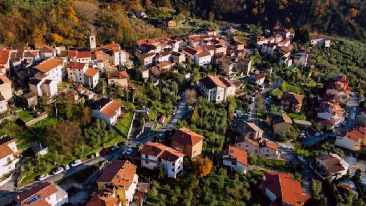 Toskana'da Zeytin Hasadı Gönüllülere Kapılarını Açtı: Ücretsiz Konaklama ve Yemek Fırsatı