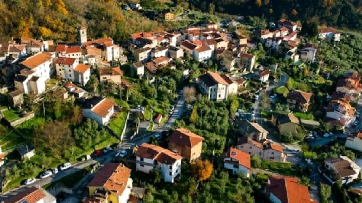 Toskana'da Zeytin Hasadı İçin Gönüllü Çağrısı: Ücretsiz Konaklama ve Yemek Fırsatı