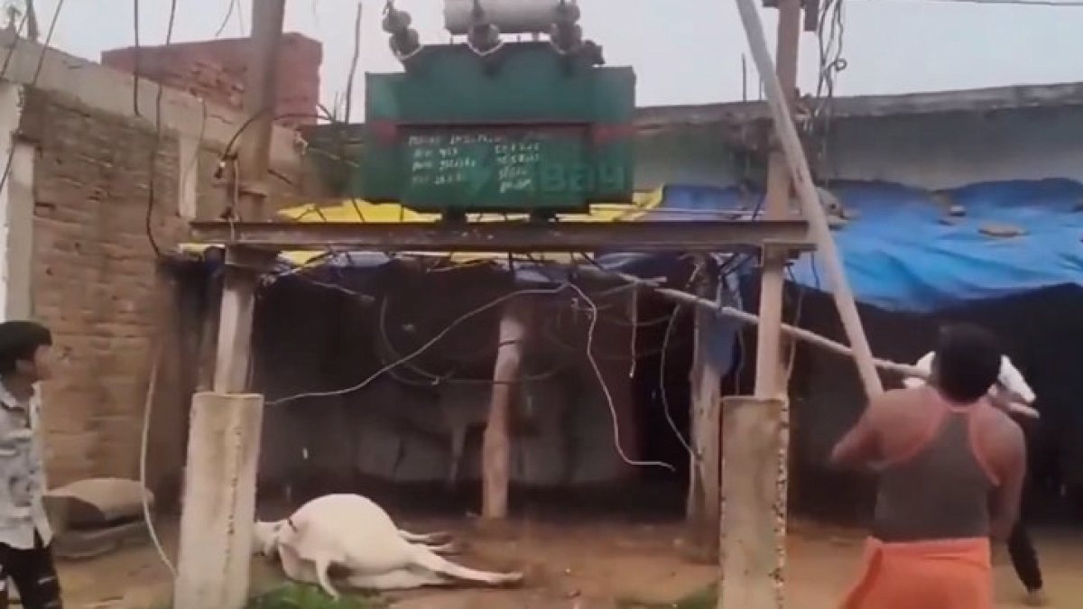 Hindistan'da Elektrik Akımı Kurbanı İnek: Köylüler Trafoya Saldırdı