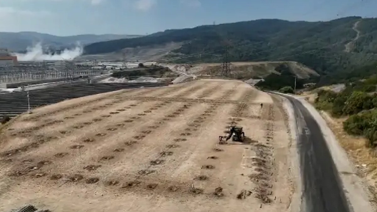 Sivas'ta Tarıma Yeni Bir Soluk: Termik Santral Atık Isısı Seracılıkta Kullanılacak