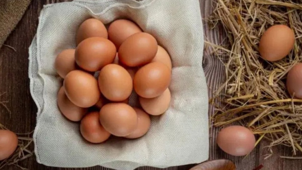 ABD'de Milyonlarca Yumurta Salmonella Tehdidiyle Toplatıldı