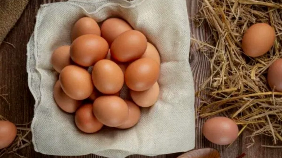 ABD'de 19 Milyon Yumurta Salmonella Riski Nedeniyle Toplatıldı