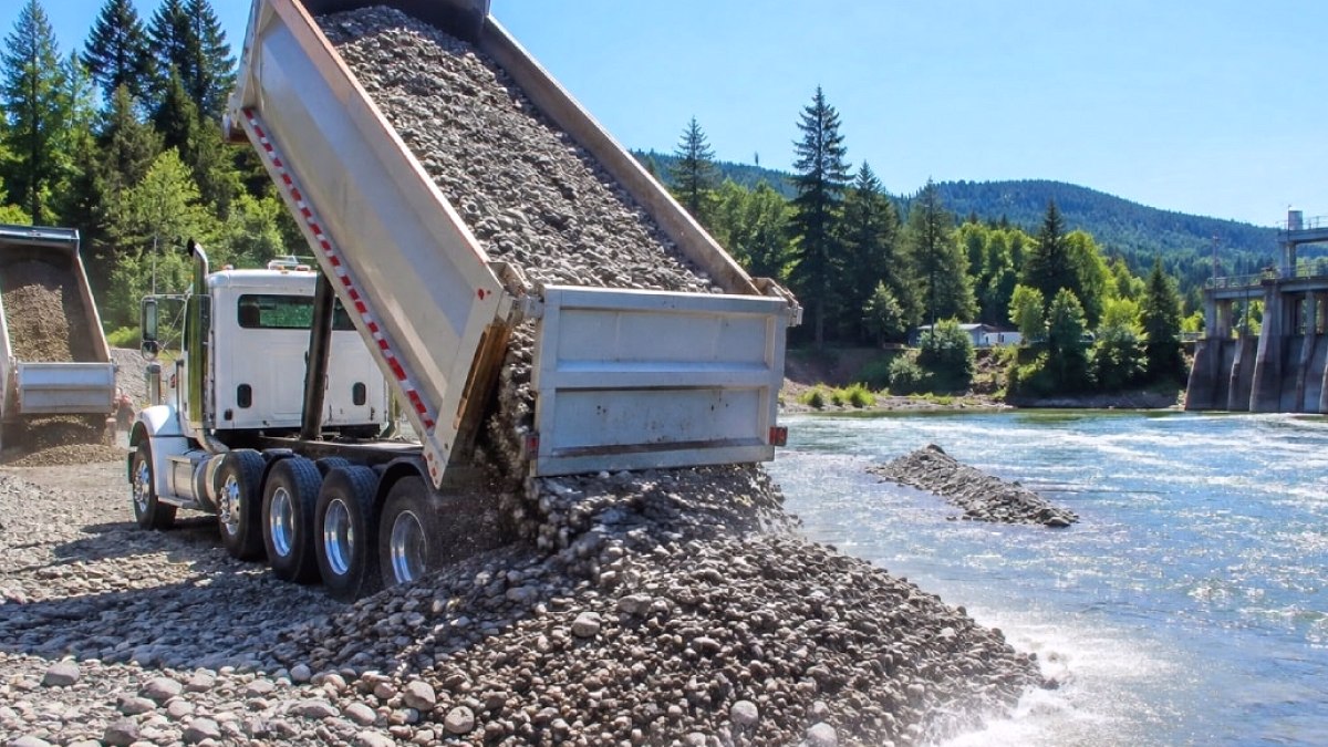 Sacramento Nehri'ne Somonlar İçin 50 Bin Ton Çakıl Döküldü