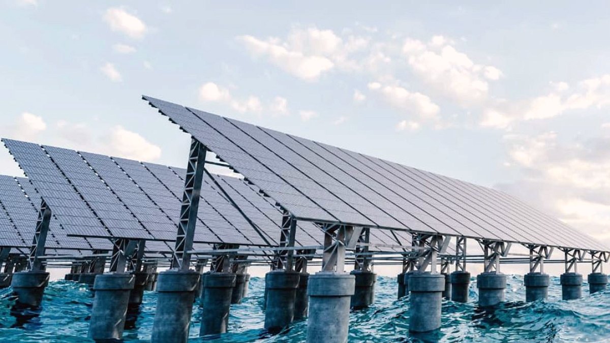 Singapur'da Yüzen Güneş Santrali Deniz Canlıları İstilası Altında: %43 Ek Ağırlık Tehlikesi
