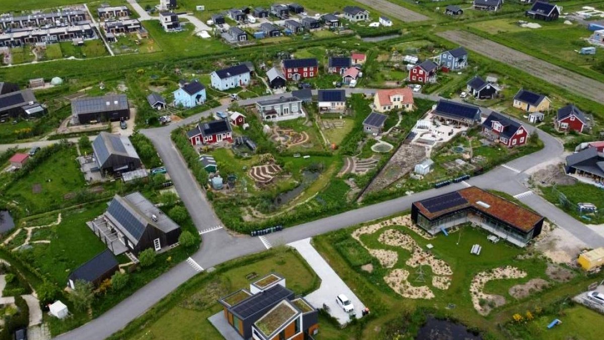 Hollanda'da Farklı Bir Yaşam Deneyimi: Arazi Yarısı Tarıma Ayrılmak Zorunda