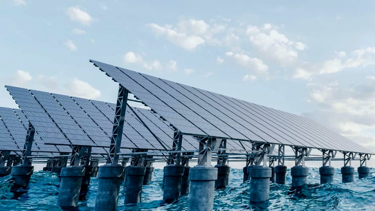 Singapur'da Deniz Üstü Güneş Enerjisi Santrali Deniz Canlıları Nedeniyle Tehlikede