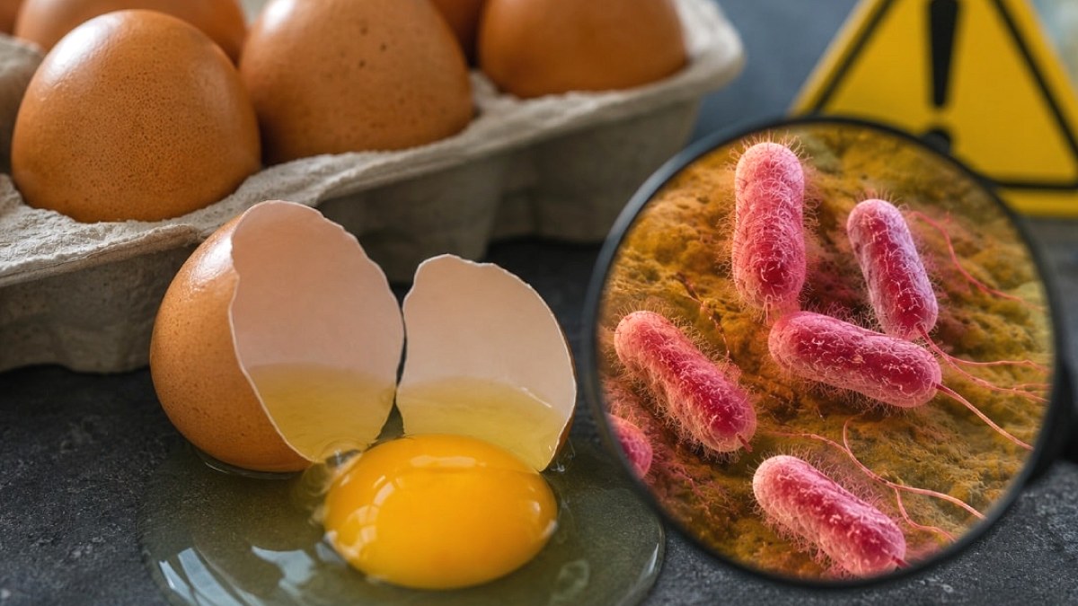 Birleşik Krallık'ta Salmonella Paniği: 200'ün Üzerinde Vaka, Bir Can Kaybı