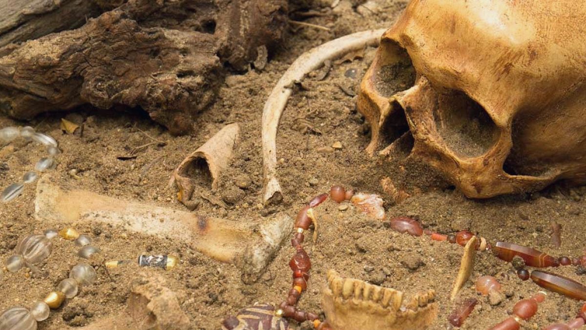 12 Bin Yıllık İskelette Nadir Genetik Hastalık İzleri Bulundu