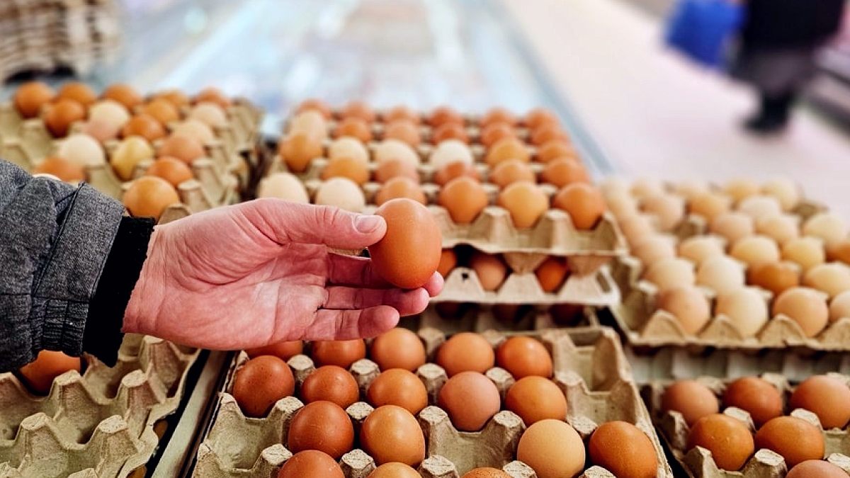Yumurta Fiyatları Rekor Kırdı: Bir Ayda Yüzde 61'lik Şok Artış
