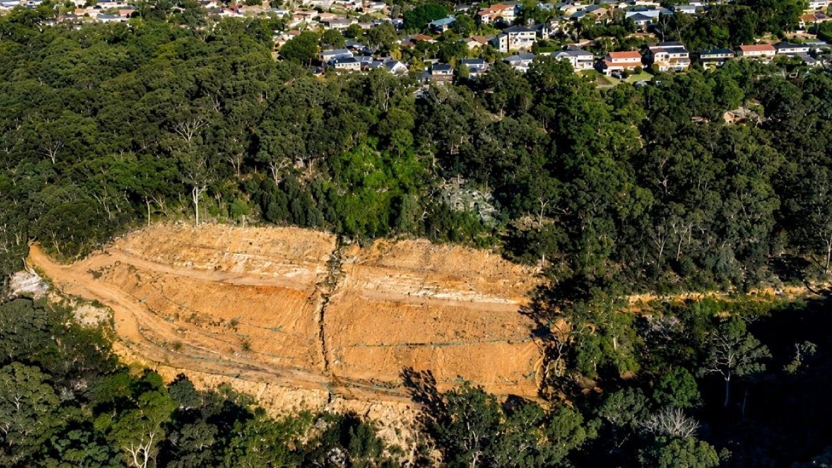 Lüks Konut İçin 600 Ağaç Kesildi: Ağır Ceza Kapıda