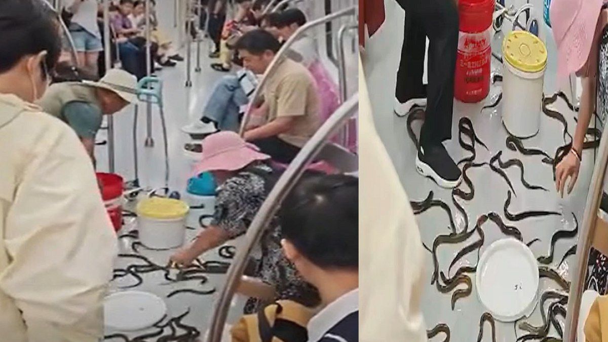 Metroda Yılan Balığı Paniği: Yolcular Seferber Oldu