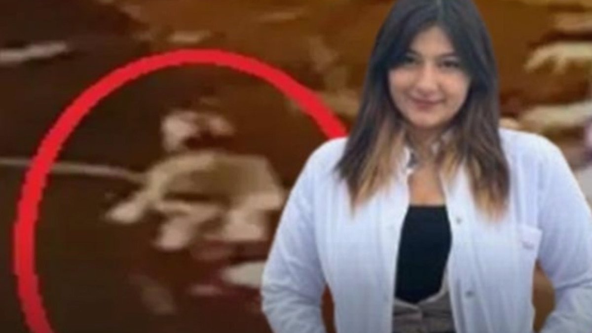 Genç Tıp Öğrencisinin Ölümüne Neden Olan Sürücüye Hapis Cezası ve Tahliye