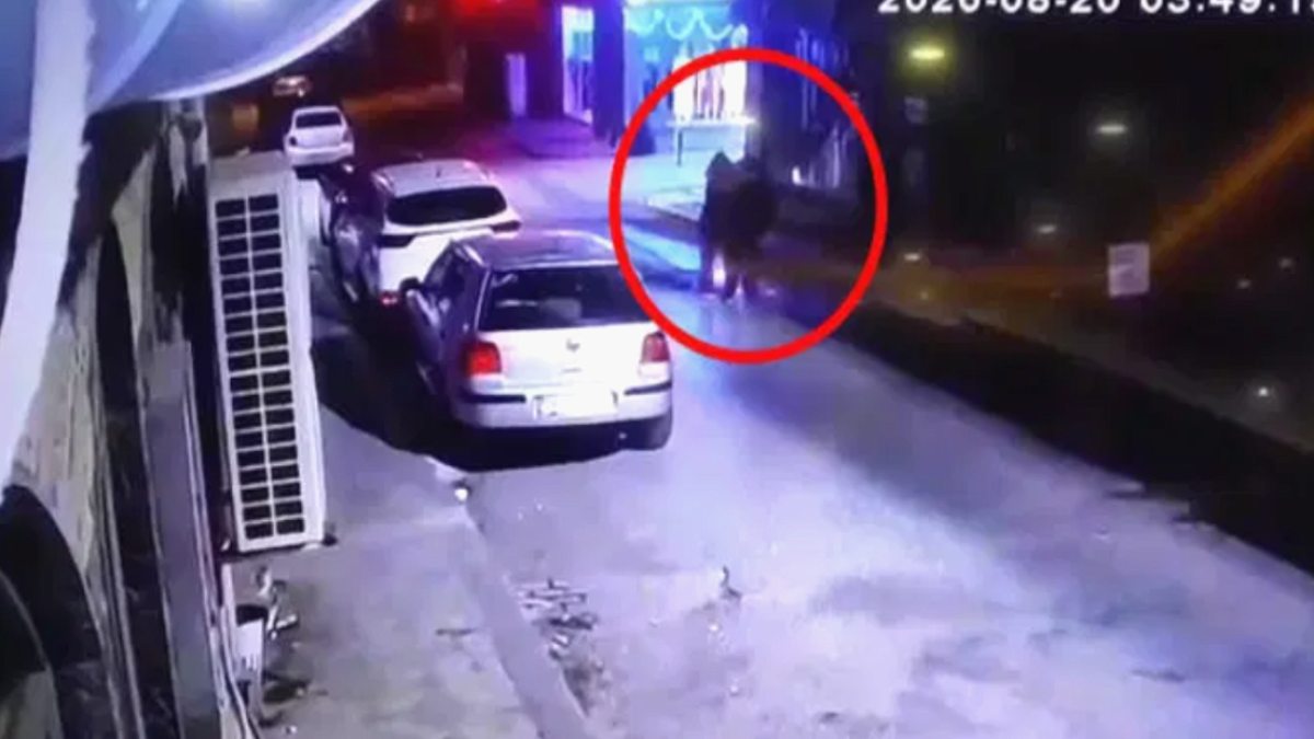 Tek Renk Giyim ve Kol Kola Yürüyüş: Kardeşlerin Gizemli Ölümü Aydınlanıyor