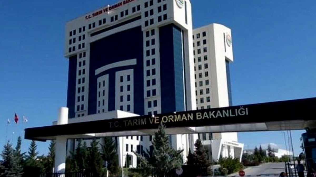 Bakanlık Kararlarında Çelişki: Narkotik Veteriner İlaçları Kimlere Uygulanacak?