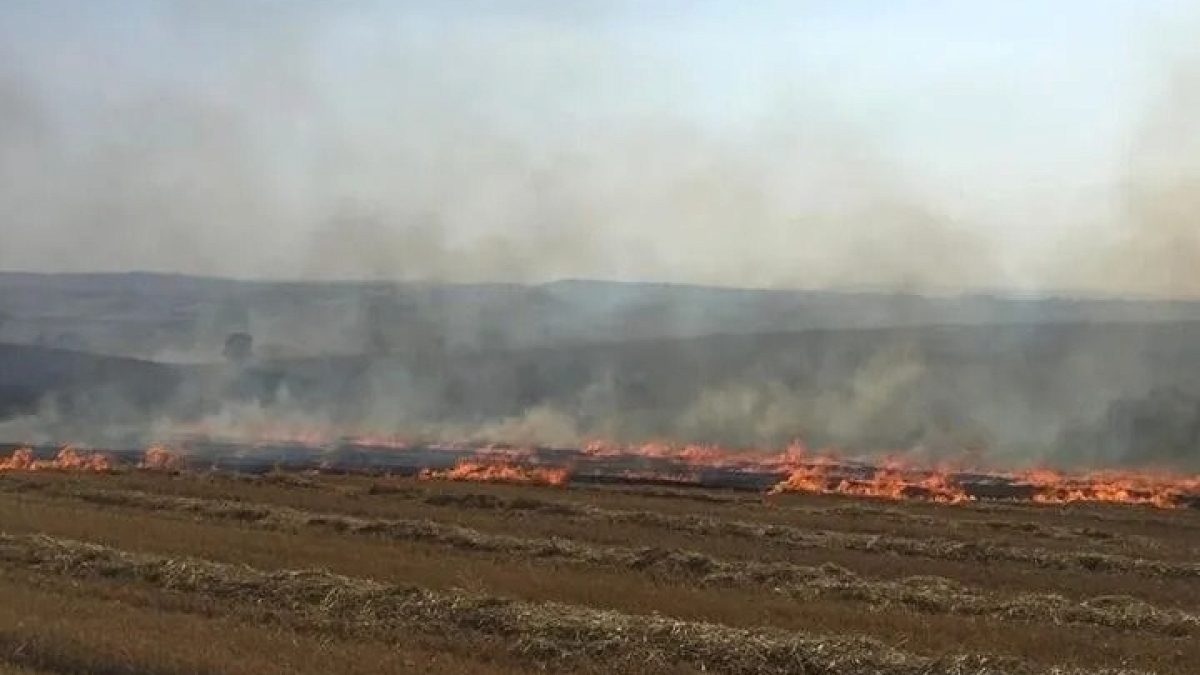 Anız Yakmaya Son! Toprak Verimliliği İçin Doğal Gübre Çözümü
