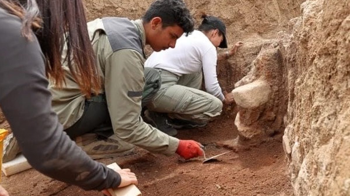 Hitit Tabletleri ve Kurban Kalıntıları: Şapinuva'nın Gizemli Yapısı Aydınlanıyor
