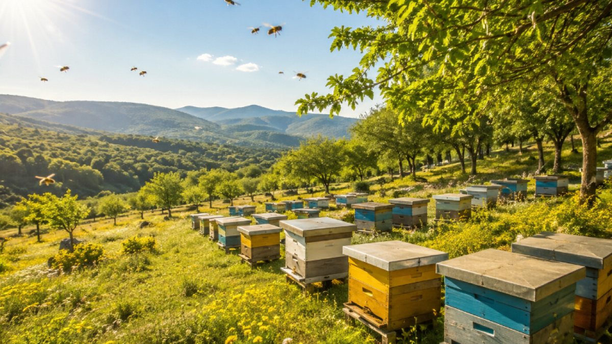 Kolombiya'da Arılar Ormanların Kurtarıcısı Oldu: Ekolojik Restorasyon Projesi Başarıyla Devam Ediyor