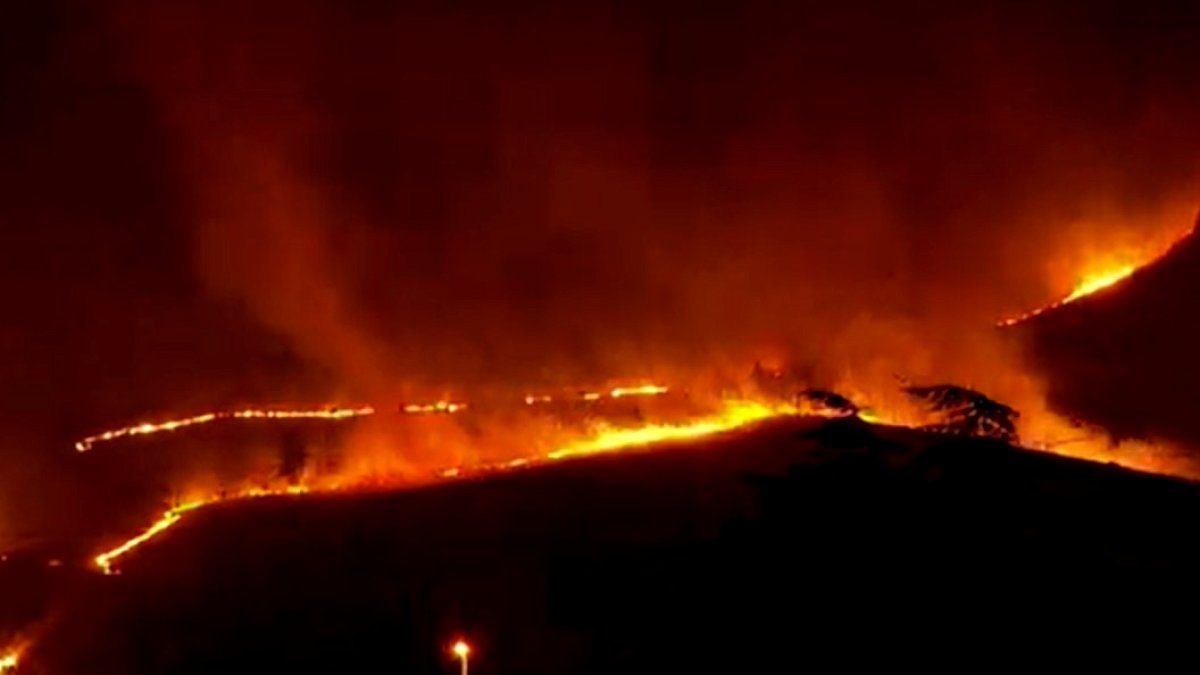 Ankara'da Geniş Alan Kapsayan Yangın: İtfaiye Ekipleri Seferber Oldu