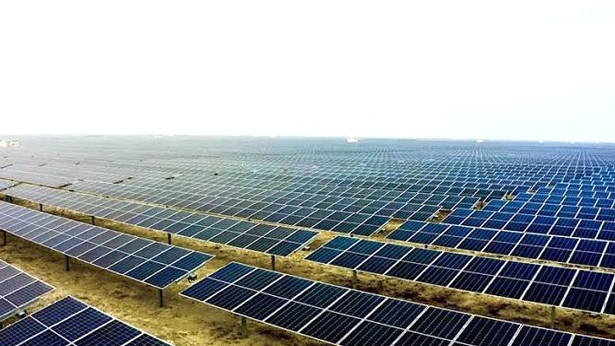 Güneş Enerjisi Yaygınlaşıyor: Kuş Çeşitliliği Üzerine Beklenmedik Etkiler Ortaya Çıktı