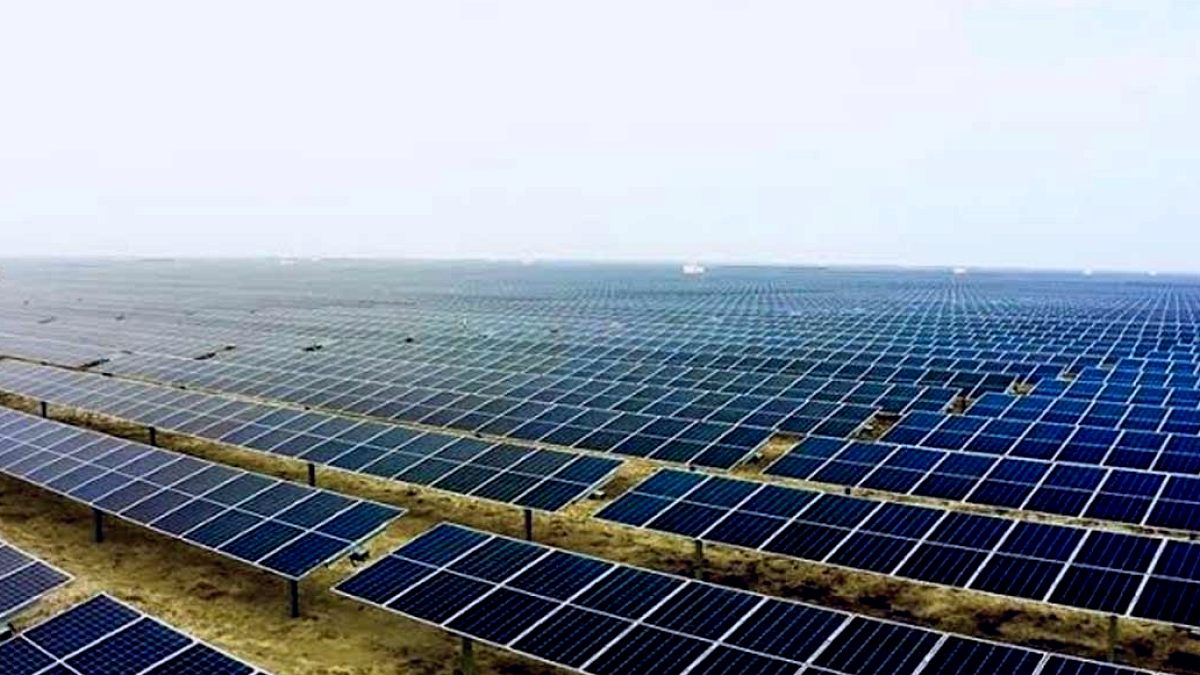 Güneş Enerjisi Yatırımları Kuş Çeşitliliğini Tehdit Ediyor: Çin Araştırması Şok Gerçekleri Ortaya Koydu
