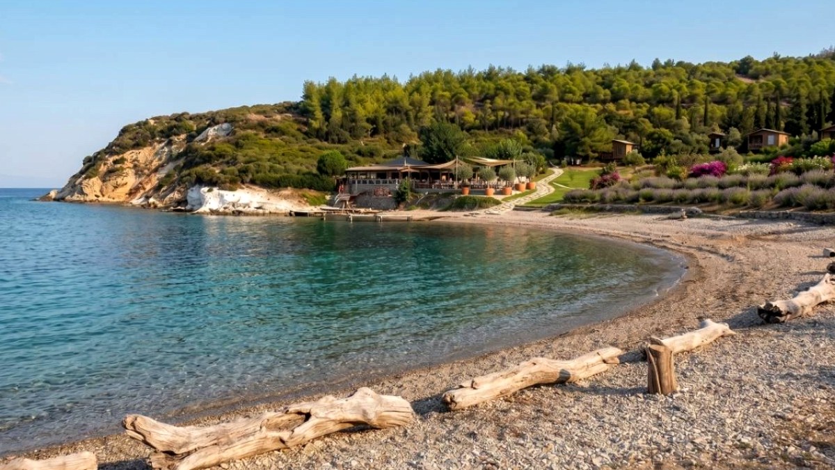 İzmir Sahillerinde Tehlike: Ölü Balıklar Endişe Yarattı, Uzmanlar Uyarıyor