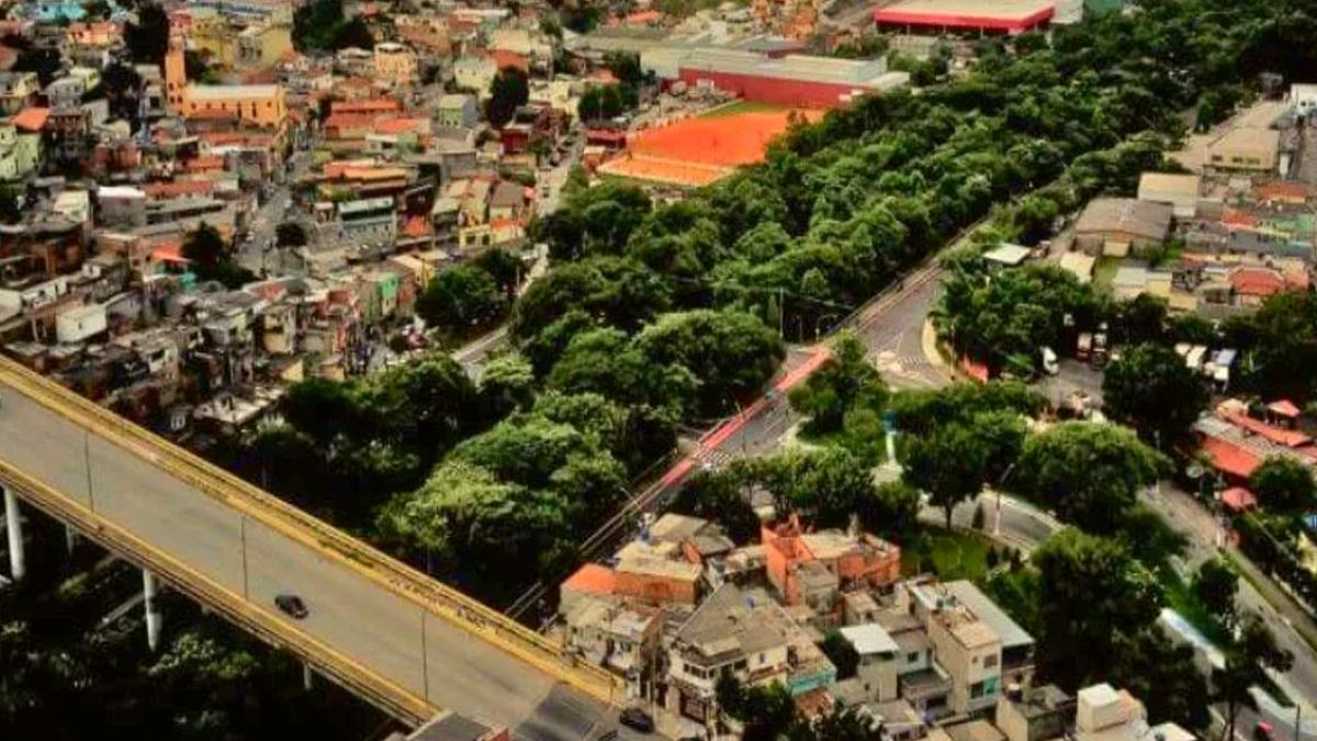Brezilya'da Tek Kişilik Dev Orman: 41 Bin Ağaçla Çölü Cennete Çevirdi