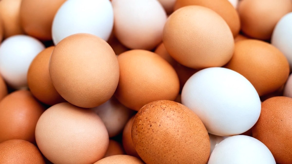 Avrupa'yı Saran Salmonella Salgını: Milyonlarca Yumurta Toplatıldı, 306 Kişi Hastanelik Oldu