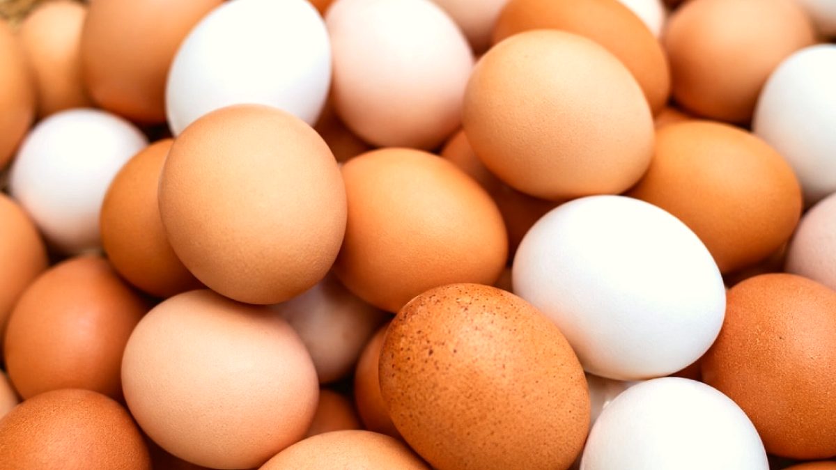 Belçika'da Salmonella Paniği: 300 Kişi Hastalandı, Yumurtalar Toplatılıyor