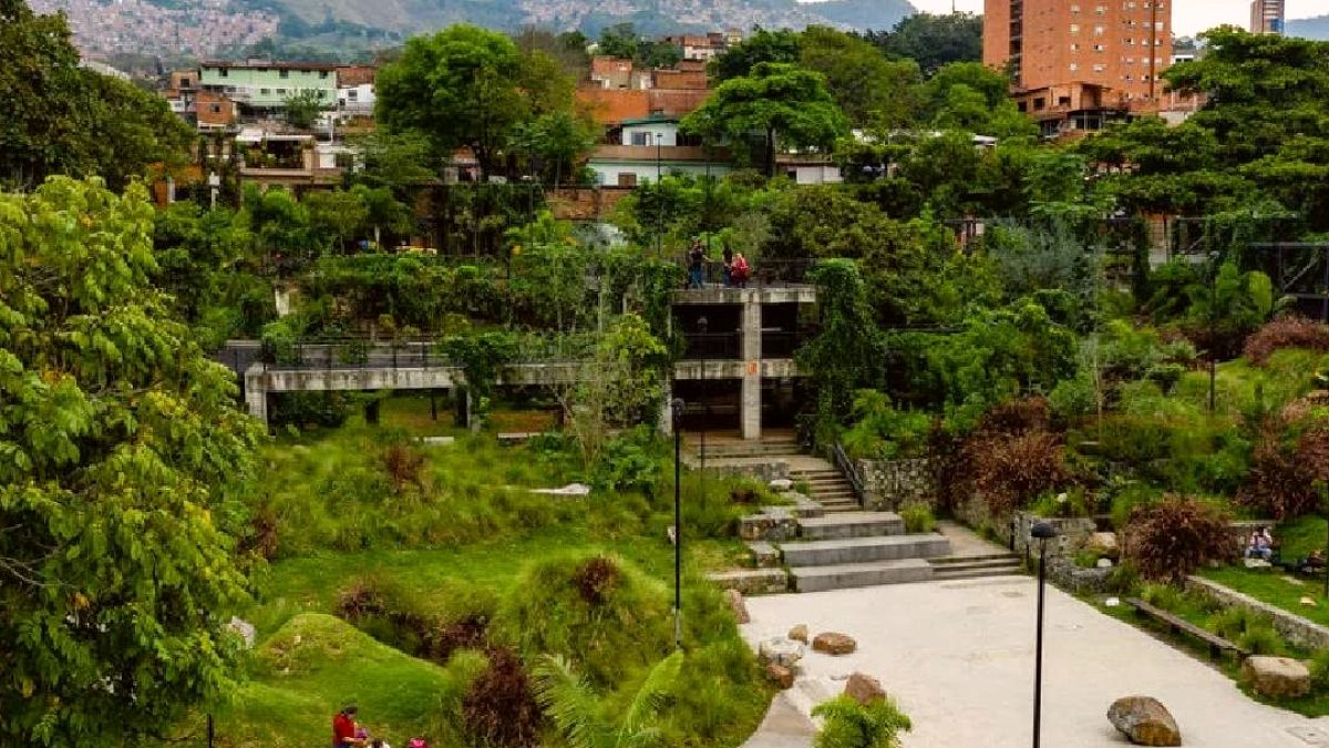 Medellín'de Yeşil Devrim: 1 Milyon Ağaçla Şehir Sıcaklığı 5 Derece Düştü