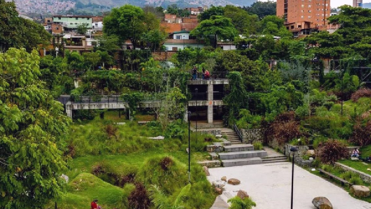 Yeşil Devrim: Medellín'de 1 Milyon Ağaç Şehri Serinletti