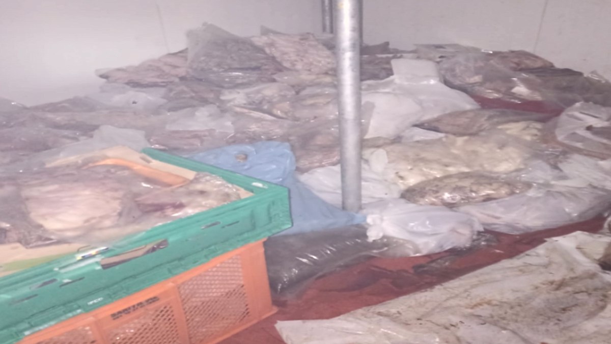 Bodrum'da Kötü Koku Kaynağı Ortaya Çıktı: 400 Kilo Bozuk Et Ele Geçirildi