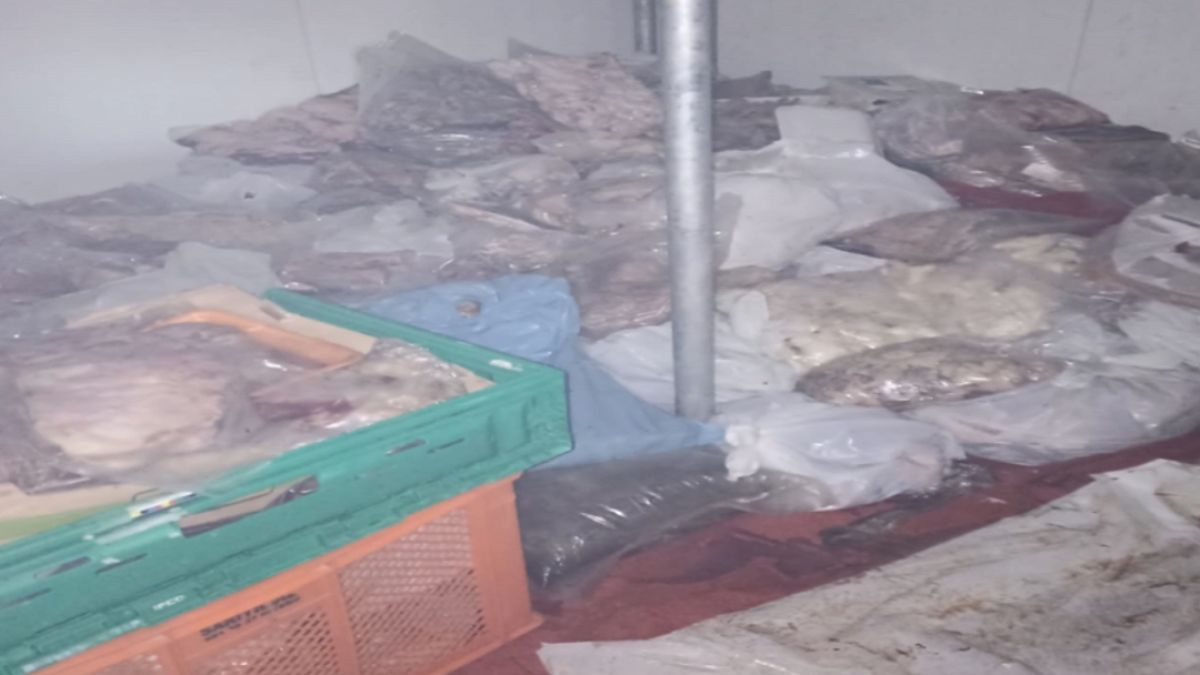 Bodrum'da Çirkin Koku Paniği: Tonlarca Bozuk Et İmha Edildi