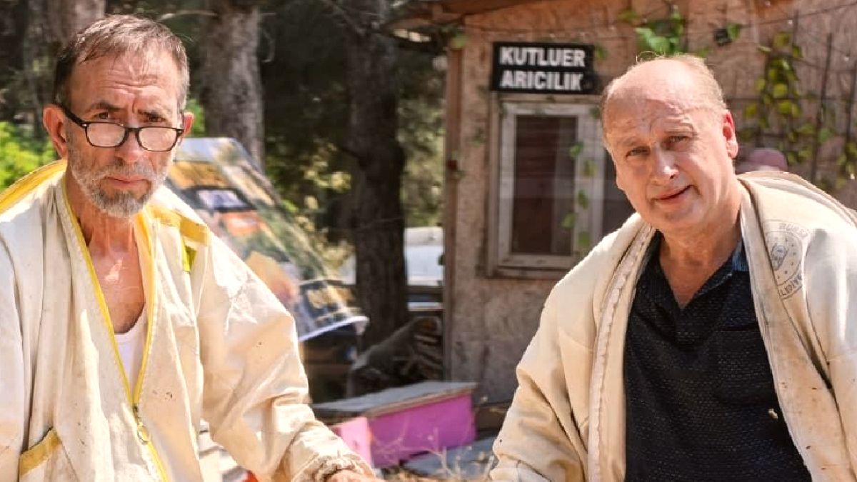51 Yıllık Arıcılık Serüveni: Ali Kutluer'den 1 Milyon Arıyla Doğal Bal Üretimi