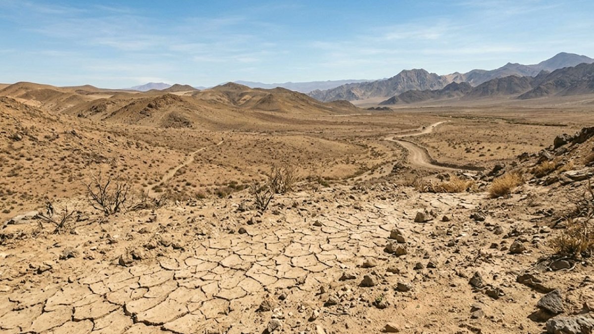 400 Yıllık Kuraklık Bitti: Atacama Çölü Rengarenk Çiçeklerle Canlandı