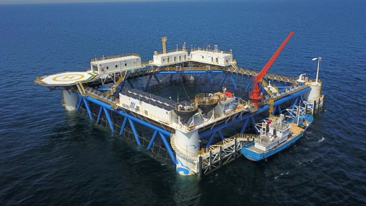 Çin'den Devrim Niteliğinde Adım: Bambu Güneş Enerjisi Platformu Açık Denizde Test Edildi