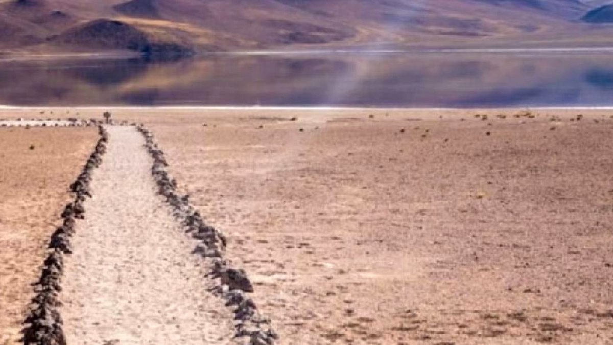 Atacama Çölü'nde Beklenmedik Mucize: Binlerce Yıllık Tohumlar Canlandı