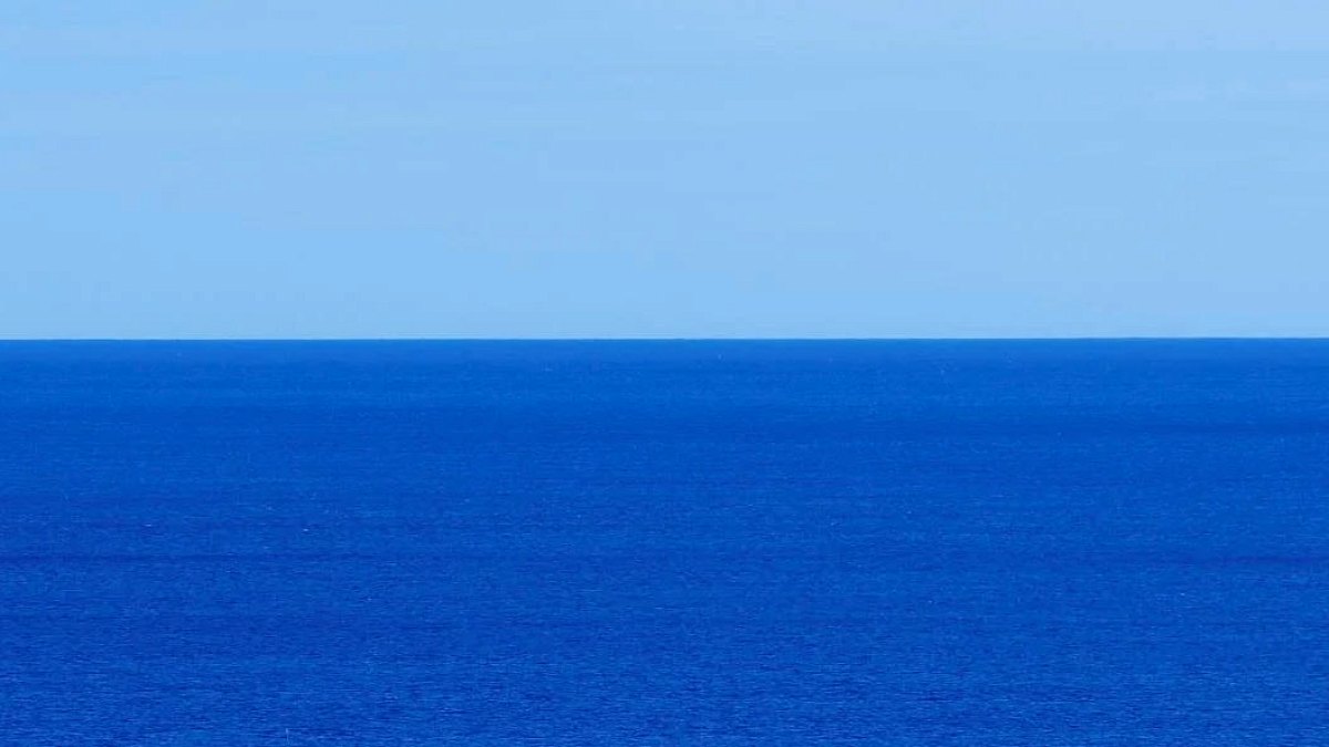 Sınırları Akıntılarla Çizili Eşsiz Deniz: Sargasso'nun Gizemli Dünyası
