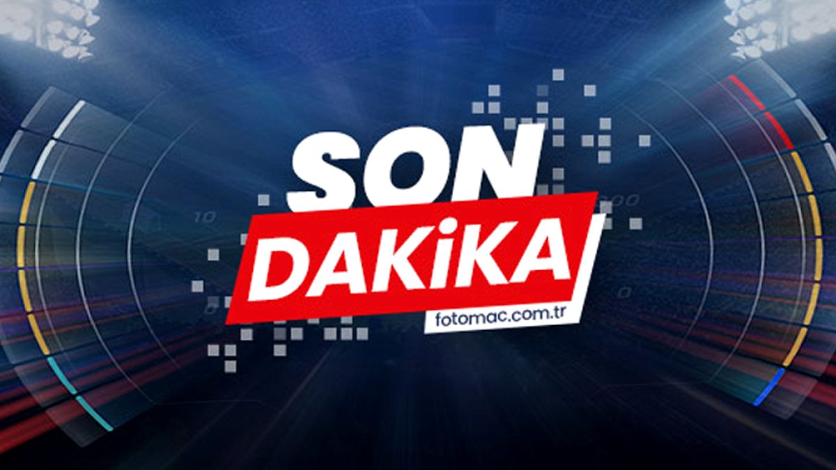Filenin Sultanları Çeyrek Finalde: Almanya Rakip Oldu