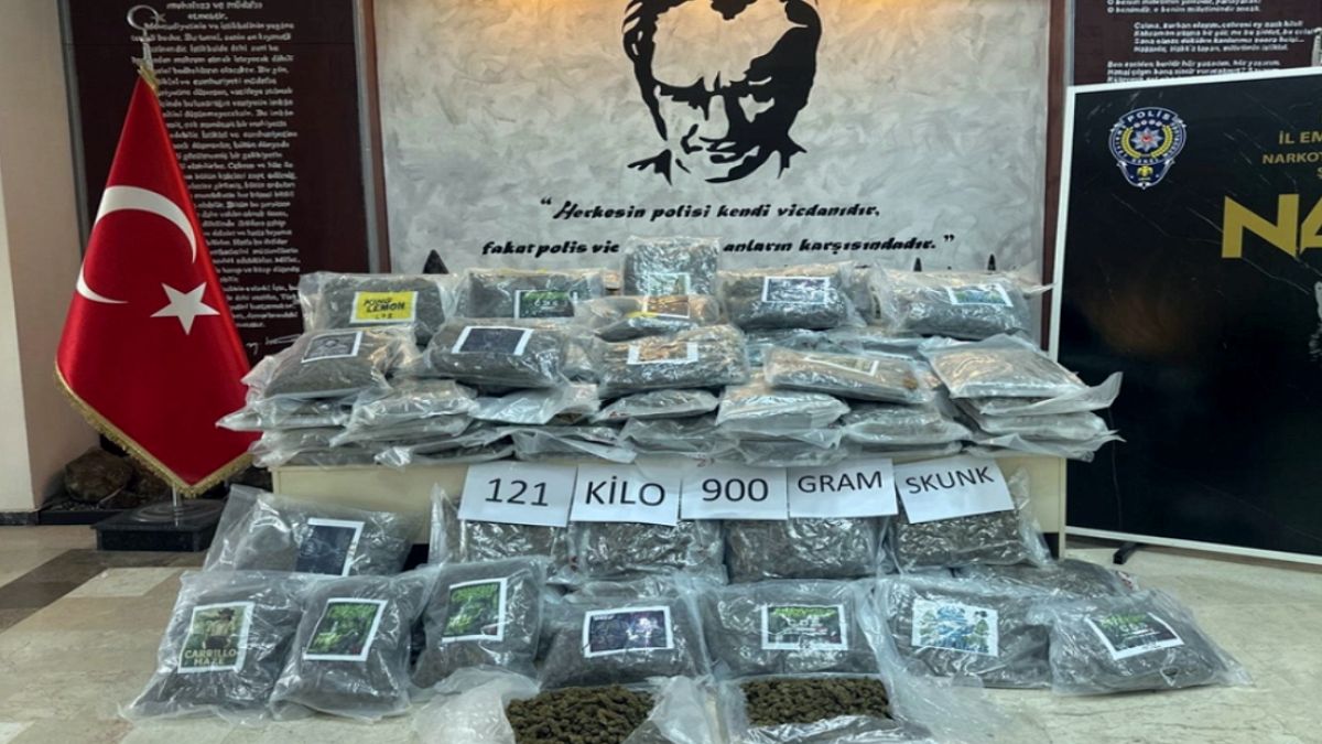 Hamzabeyli Sınır Kapısı'nda Büyük Uyuşturucu Operasyonu: TIR'da 121 Kilo Skunk Ele Geçirildi