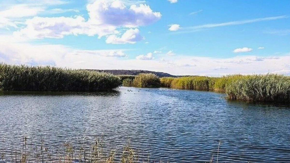 Sulak Alanlardan Su Kullanımı Yeni Yönetmelikle Belirlendi: İzin Şartı Getirildi