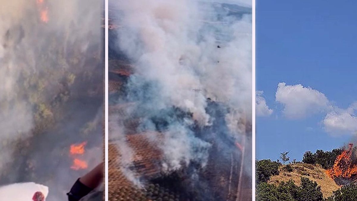 Manisa Soma'da Kapsamlı Orman Yangını: Ekipler Hızla Müdahale Etti