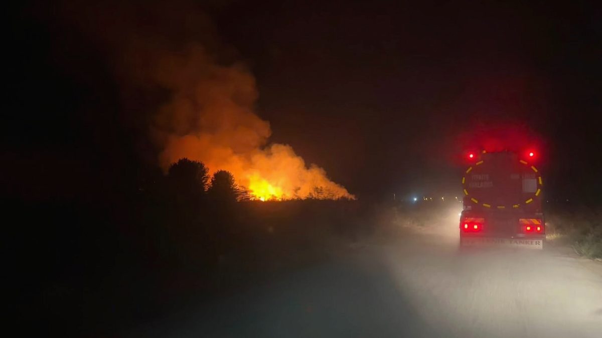 İznik'te Sazlık Alanında Meydana Gelen Yangın Hızla Kontrol Altına Alındı