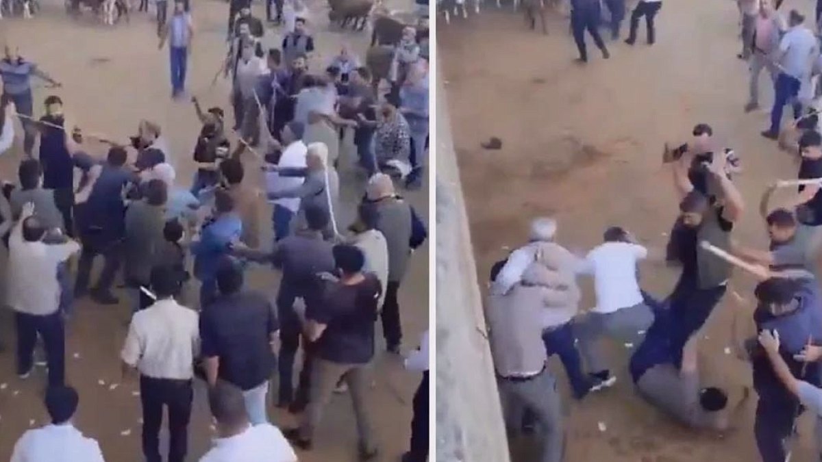 Diyarbakır Hayvan Borsasında Sopalı Kavga: Hayvanlar Panikledi