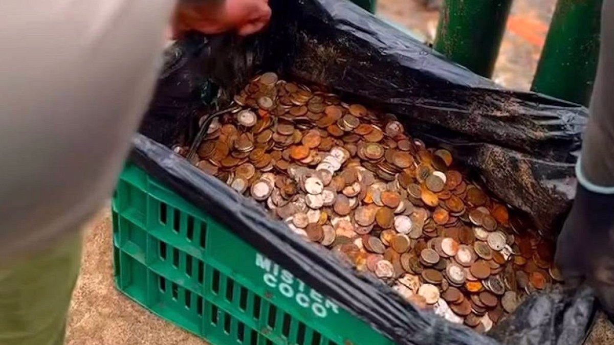 Iguazu Şelaleleri'nden Tonlarca Metal Para Çıkarıldı