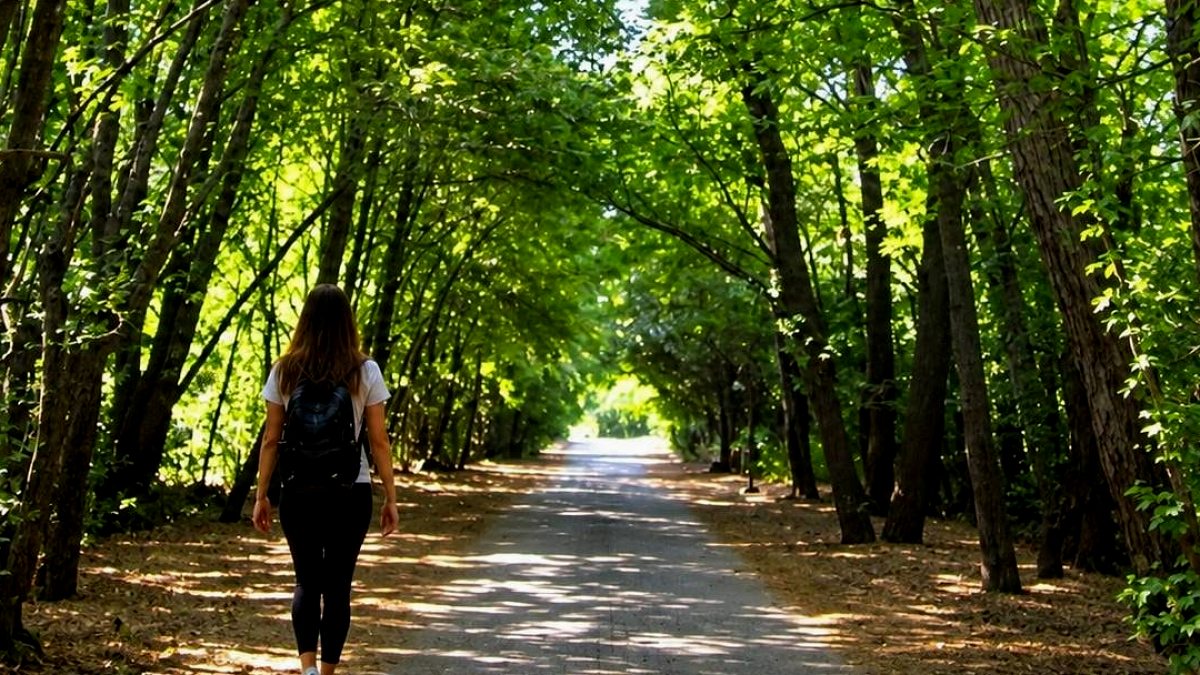 ABD'de Park Yürüyüşü Talih Kuşu Oldu: Yerden Bulduğu Taşla Zengin Oldu